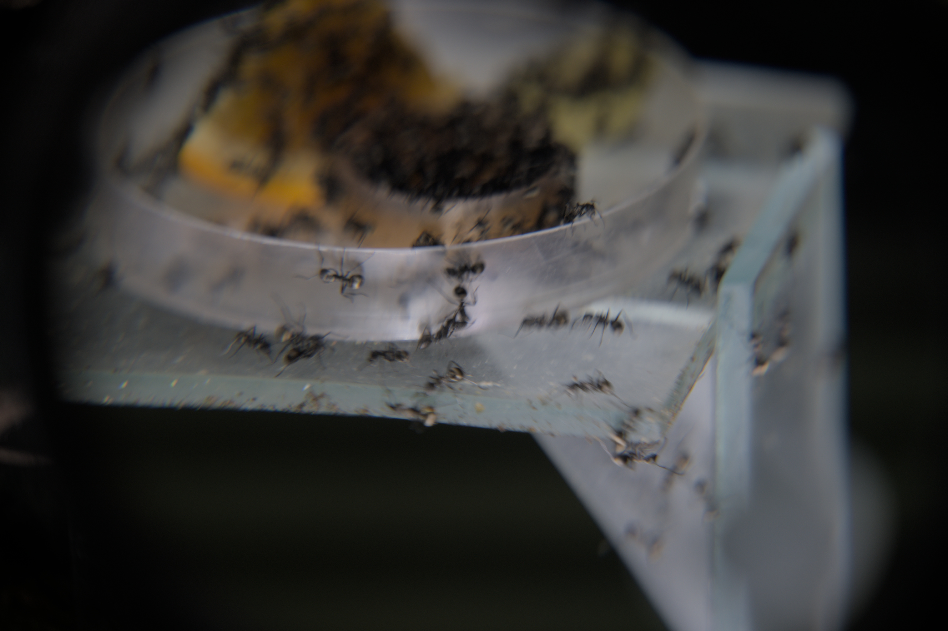 2025/10/12 - zoo/DSC_0192.jpg